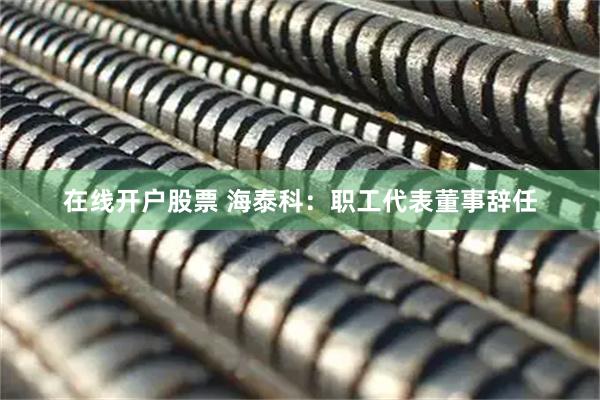 在线开户股票 海泰科：职工代表董事辞任